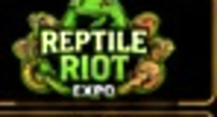 Reptile Riot Expo promoter logo